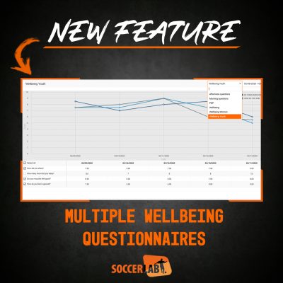 Wellbeing questionnaire Wellbeing questionnaire